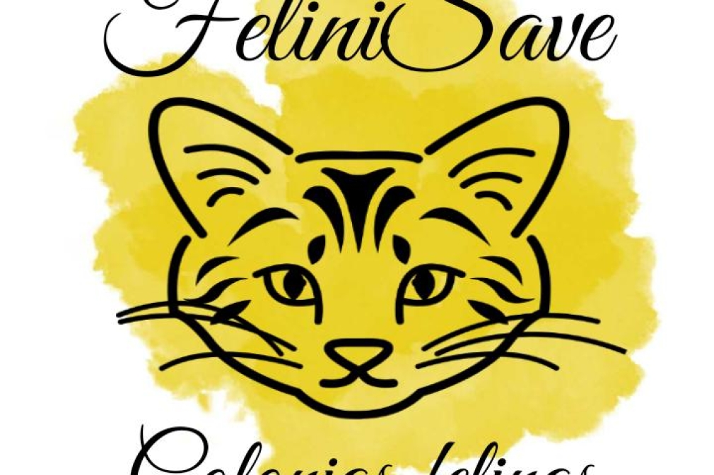 FeliniSave: Gestión de colonias felinas